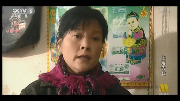 [2000][中国][七嫂告状][国语中字][TS][4.94GB][百度网盘]