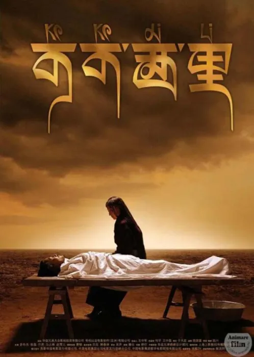[中国大陆][2004][剧情][可可西里][国语中字][1.02G][百度网盘]