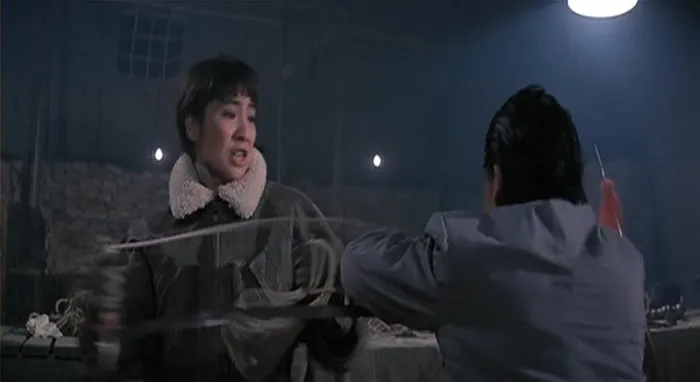 [1987][香港]《中华战士》[杨紫琼_尔冬升][国粤双语中英字][MKV_2.04G]