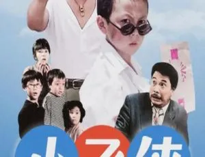 1995 中国大陆经典《小飞侠》国语中字 2.52GB 百度网盘资源