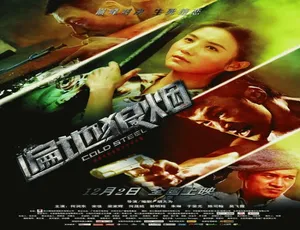 2011 中国大陆电影《遍地狼烟》 5.12GB 百度网盘资源-小文资源网