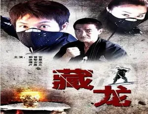 2007 中国大陆神作《藏龙》 汉语普通话 5.1GB 百度网盘资源