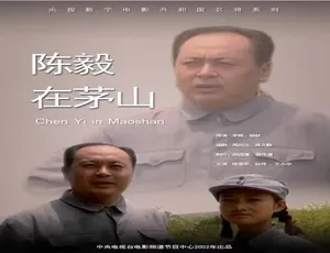 必看！2002 中国大陆经典《陈毅在茅山》 4.59GB 百度网盘资源