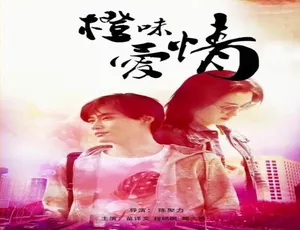 2015 中国大陆《橙味爱情》汉语普通话 4.9GB 百度网盘资源