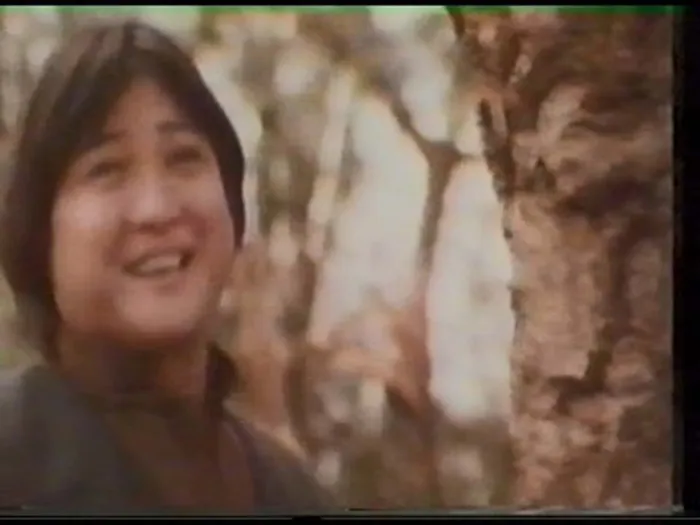 [1980][香港][身不由己][国语中字][MKV][882MB][百度网盘]