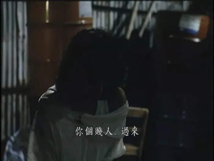 [1989]《流氓差婆》[粤国双语中字][吴君如_柏安妮_周星驰][mkv_366m]