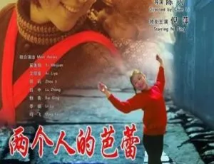 2005 中国大陆经典《两个人的芭蕾》国语中字 1.22GB 百度网盘资源