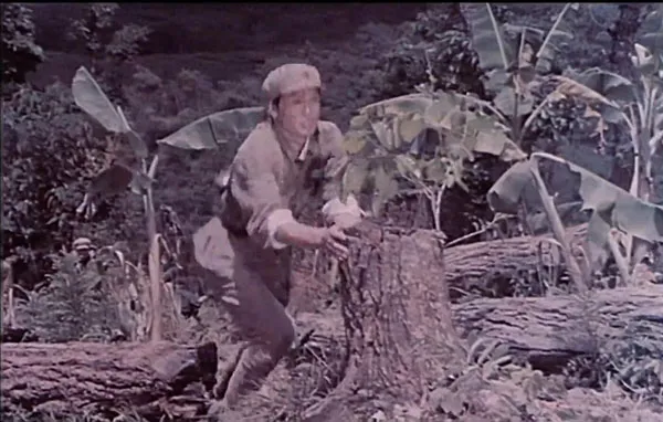 [1976][中国大陆] 《孔雀飞来阿佤山》[国语中字][1.32GB][ 百度网盘]