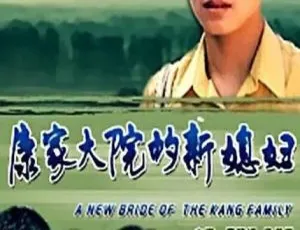 2000年中国大陆《康家大院的新媳妇》国语中字 2.08GB 百度网盘资源