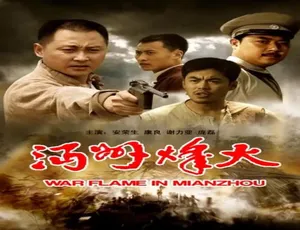 2009 中国大陆《沔州烽火》 4.77GB 百度网盘资源