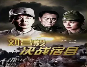 2009 中国大陆经典：刘昌毅决战宿县 4.65GB 百度网盘资源
