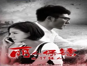 2017 中国大陆《丽人保镖之 IT 狂人》4.96GB 百度网盘资源
