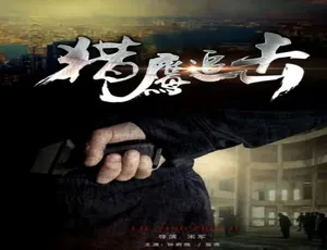 2017 中国大陆《猎鹰追击》汉语普通话 4.33GB 百度网盘资源