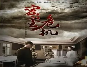 2014 中国大陆《密室危机》普通话 5.45GB 百度网盘资源