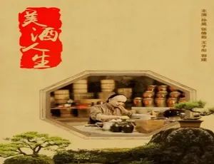 2018中国大陆《美酒人生》普通话资源 5.13GB 百度网盘速存