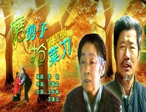 2007 中国大陆《磨剪子抢菜刀》 4.54GB 百度网盘资源