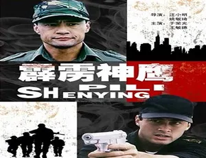 1996 中国香港经典《霹雳神鹰》 4.4GB 百度网盘资源
