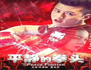 2017 中国大陆神作《平静的拳头》 4.82GB 百度网盘资源-小文资源网
