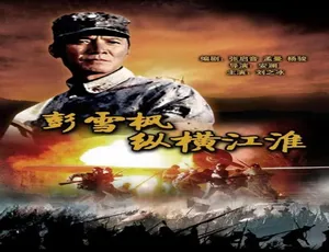 2007 中国大陆经典《彭雪枫纵横江淮》 4.63GB 百度网盘资源