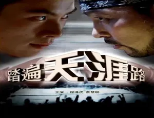2006 中国大陆《踏遍天涯路》普通话 4.63GB 百度网盘资源