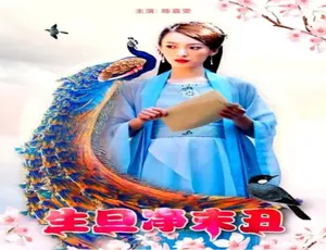 2018 中国大陆神作《生旦净末丑》 4.42GB 百度网盘资源