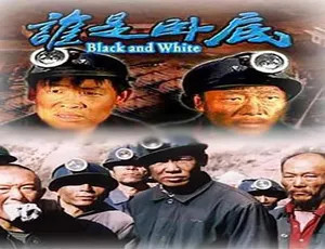 2006 中国大陆《谁是卧底》 5.26GB 百度网盘资源