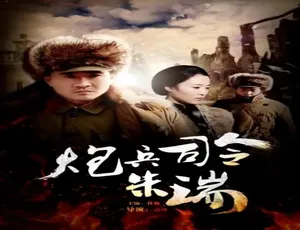 2013 中国大陆经典《炮兵司令朱瑞》 4.83GB 百度网盘资源