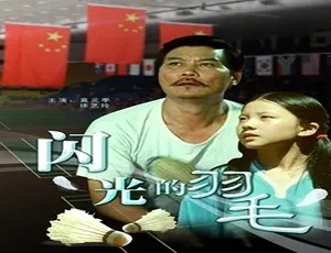 2008 中国大陆《闪光的羽毛》普通话 4.5GB 百度网盘资源