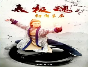 2017 中国大陆《太极魂之初出茅庐》普通话 4.69GB 百度网盘资源-小文资源网