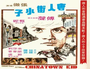 1977 香港经典《唐人街功夫小子》 普通话 4.71GB 百度网盘资源-小文资源网