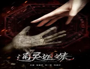 2017 中国大陆奇幻片《通灵姐妹》 4.99GB 百度网盘资源-小文资源网