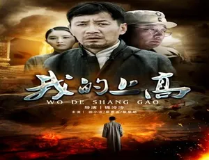 2017 中国大陆高分影片《我的上高》 5.12GB 百度网盘资源-小文资源网