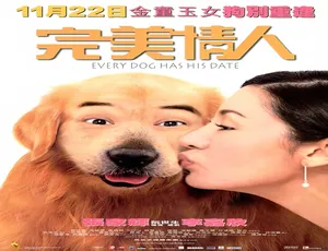 2001 中国香港经典《完美情人》 5.04GB 百度网盘资源-小文资源网
