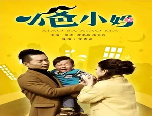 2016 中国大陆神剧《小爸小妈》 4.55GB 百度网盘资源速来-小文资源网