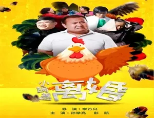 2017 中国香港电影《小锅盖离婚》 4.51GB 百度网盘资源-小文资源网