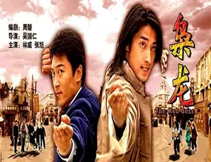 2007 中国大陆经典影片《枭龙》 4.77GB 百度网盘资源-小文资源网