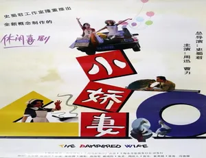 1996 中国大陆经典《小娇妻》 4.57GB 百度网盘资源速来-小文资源网