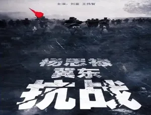 2014 中国大陆《杨思禄冀东抗战》：4.81GB 汉语普通话资源 百度网盘速取-小文资源网