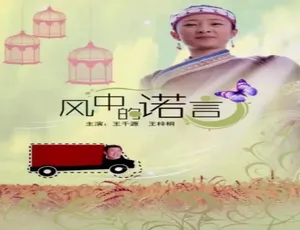 2013 中国大陆《风中的诺言》汉语普通话 4.72GB 百度网盘资源