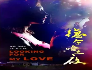 2015 中国大陆《德令哈之夜》汉语普通话 4.32GB 百度网盘资源