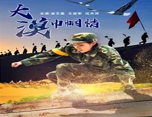 2018 中国大陆《大漠巾帼情》4.85GB 百度网盘资源-小文资源网