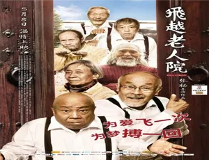 2012 中国大陆《放鹅少年》汉语普通话 5.29GB 百度网盘资源-小文资源网