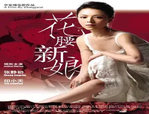 2005 中国大陆经典《花腰新娘》 4.4GB 百度网盘资源速来-小文资源网
