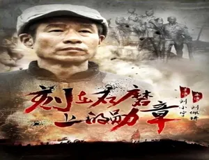 2016 中国大陆神作《刻在石磨上的勋章》 4.78GB 百度网盘资源-小文资源网