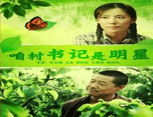 中国大陆 2012 神作《咱村书记是明星》 4.76GB 百度网盘资源-小文资源网