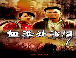 2010 中国大陆经典《雪染北沙河》 4.56GB 百度网盘资源-小文资源网