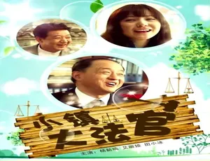 中国大陆 2012 高分剧《小镇大法官》4.89GB 百度网盘资源-小文资源网