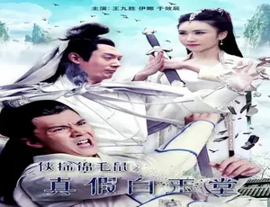 2019 中国大陆高分影片《侠探锦毛鼠之真假白玉堂》 4.61GB 百度网盘资源-小文资源网
