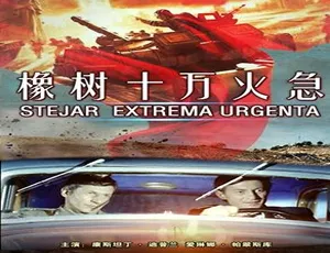 1973 中国大陆经典《橡树 十万火急》 4.9GB 百度网盘资源-小文资源网