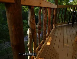 1080P 英语中字《树屋大师》第六季 9 集 百度网盘资源-小文资源网